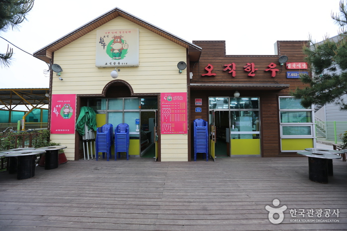 오직 이미지