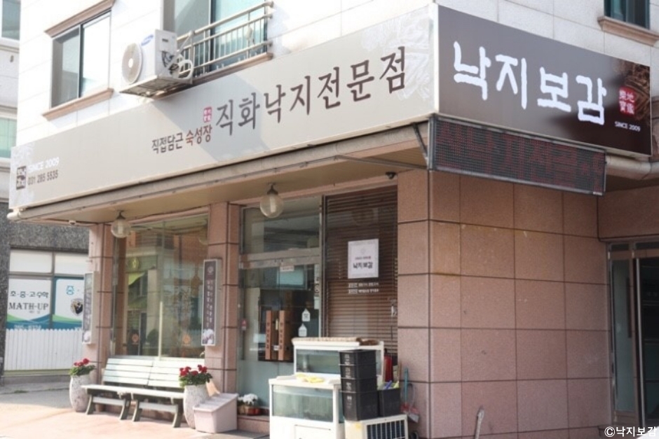 낙지보감 이미지