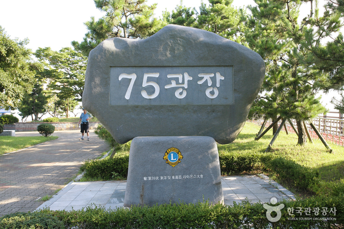 75 이미지
