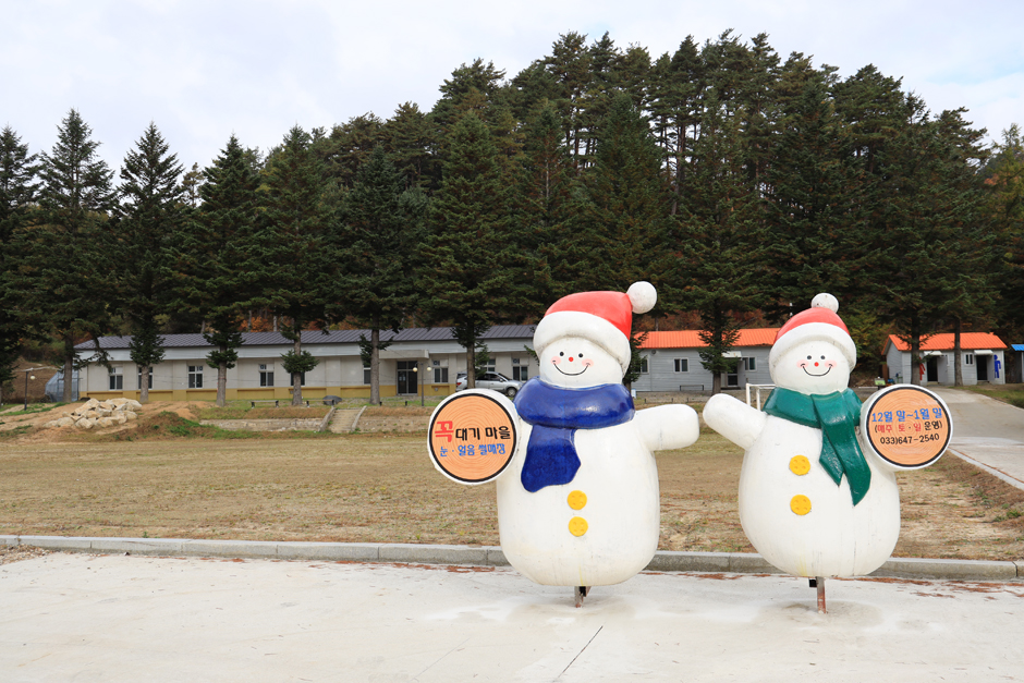 대기리 산촌체험학교 야영장 이미지