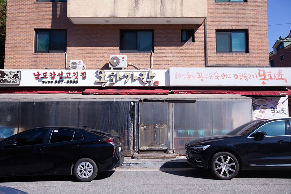 몽화가락 이미지