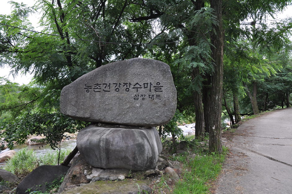 숲에서 이미지