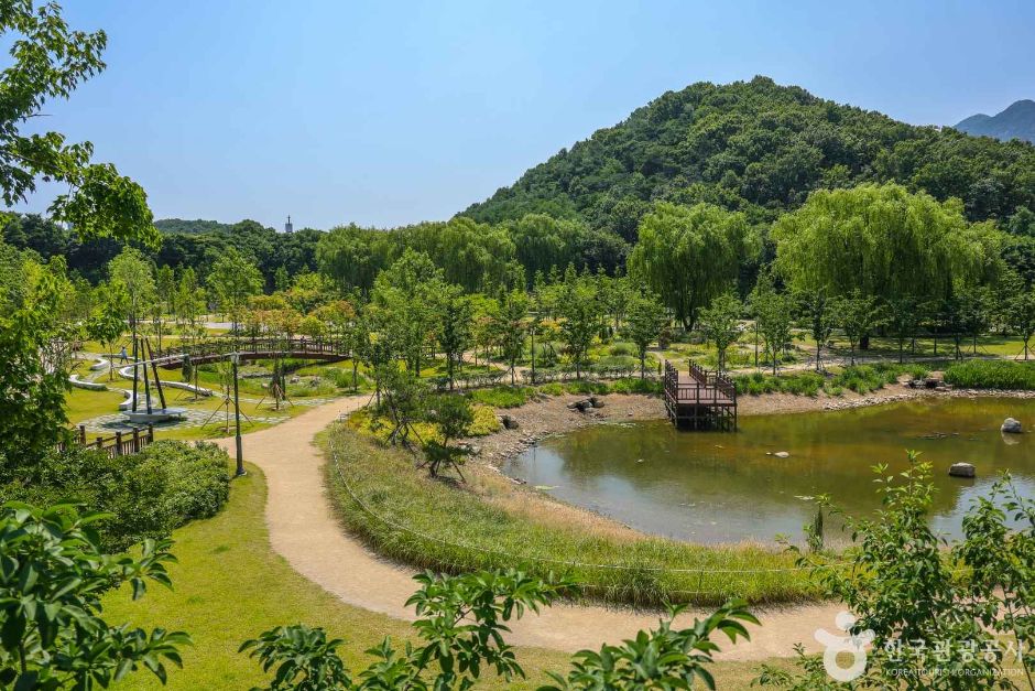 숲 이미지