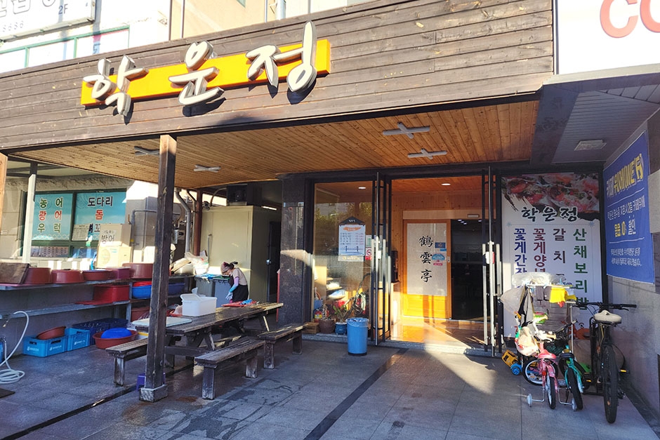 정 이미지
