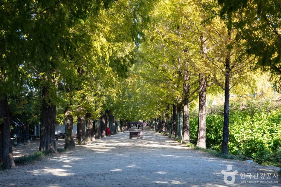 길엔 이미지