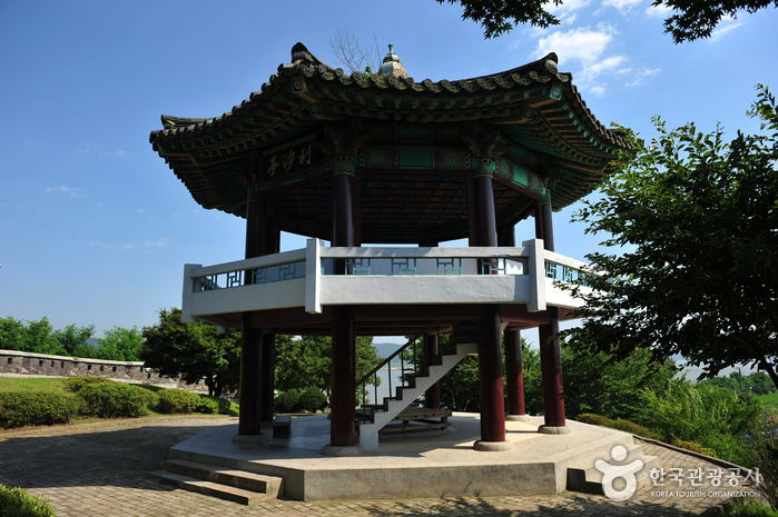 이라고 이미지