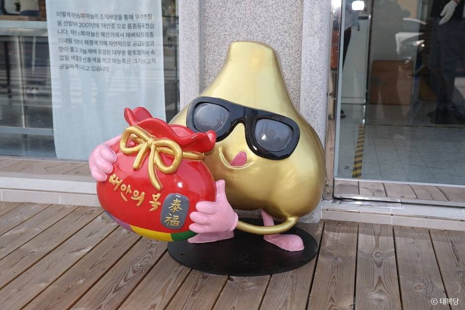 태 이미지