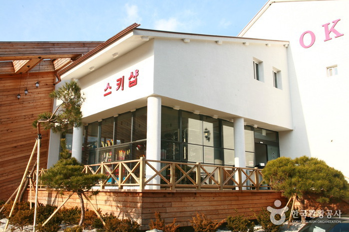 샵인 이미지