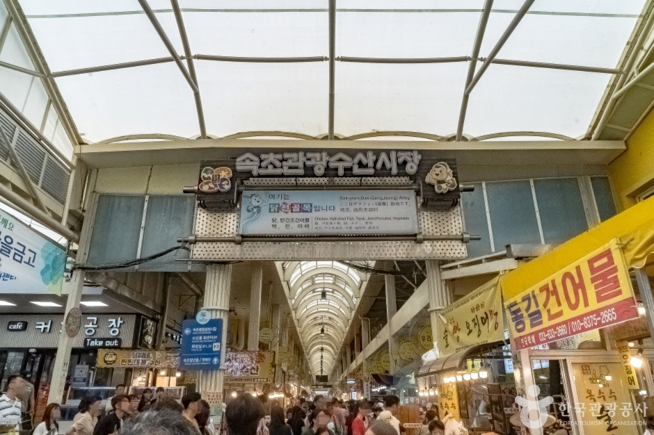 닭으로 이미지