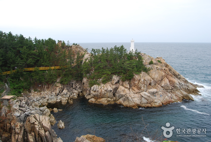 7번 이미지