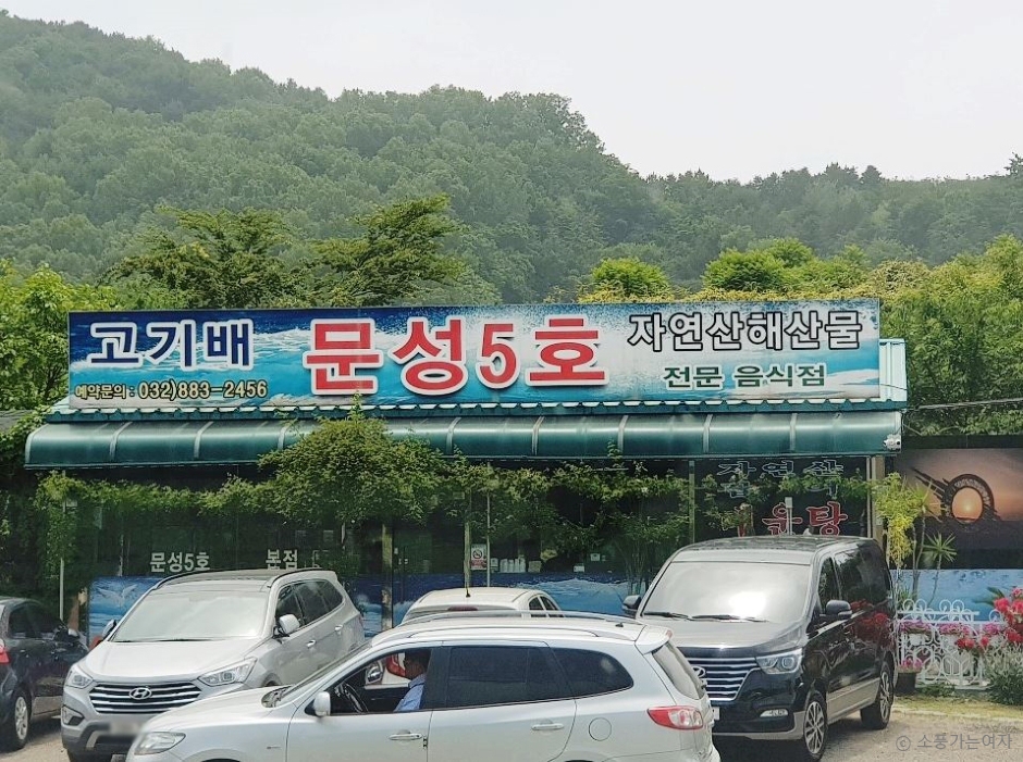 문성5호 이미지
