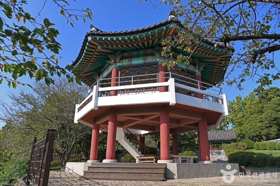 이라면 이미지