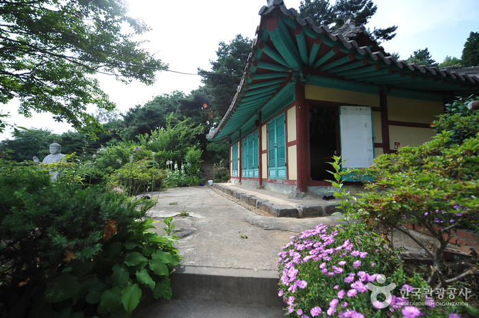 운도 이미지