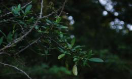 2우 이미지