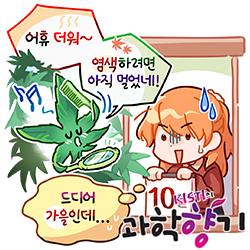 알록달록 이미지