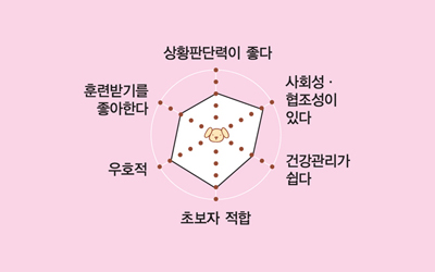 친 이미지