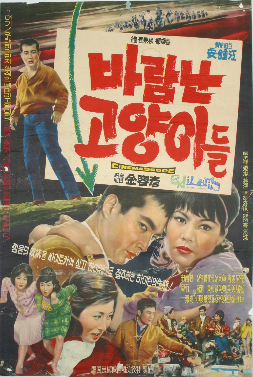 바람난고양이 이미지