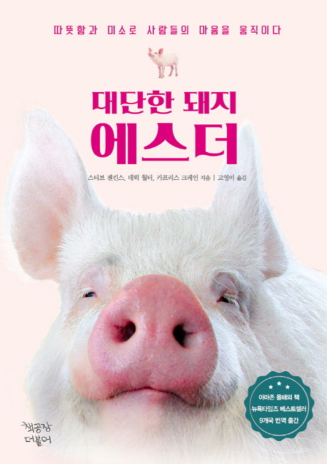 에스더 이미지