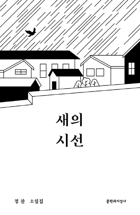 새의 시선