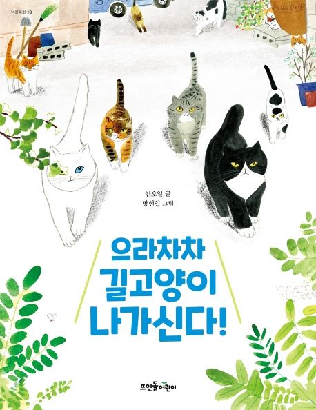 으라차차 길고양이 나가신다!