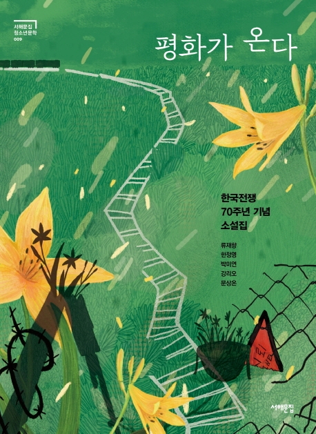 평화가 온다(서해문집 청소년문학 9)