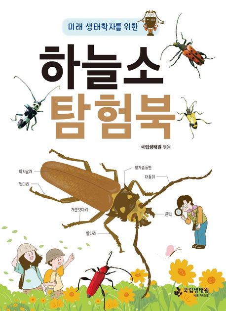 하늘소 탐험북