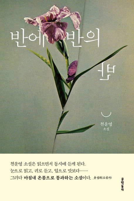 반에 반의 반