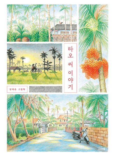 타오 씨 이야기