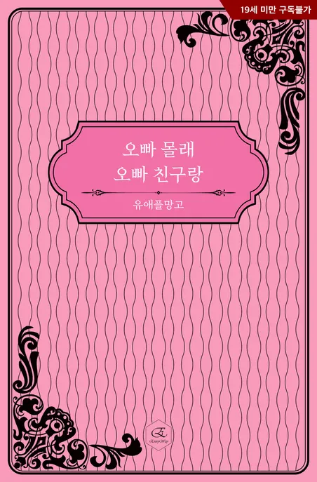 오빠 몰래, 오빠 친구랑 표지