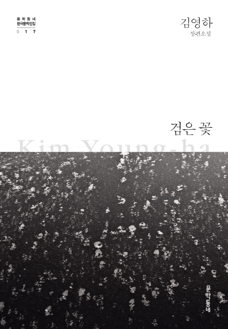 검은 꽃(문학동네 한국문학전집 17)(양장본 HardCover)