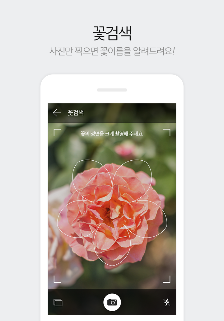 다음앱 6.0 '꽃검색' 기능 안내