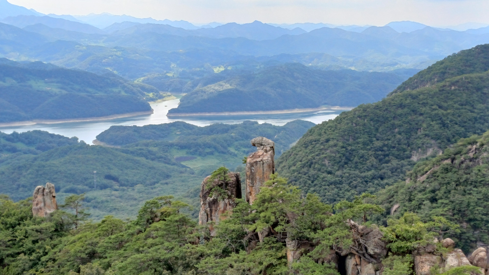 금수산손두부 이미지