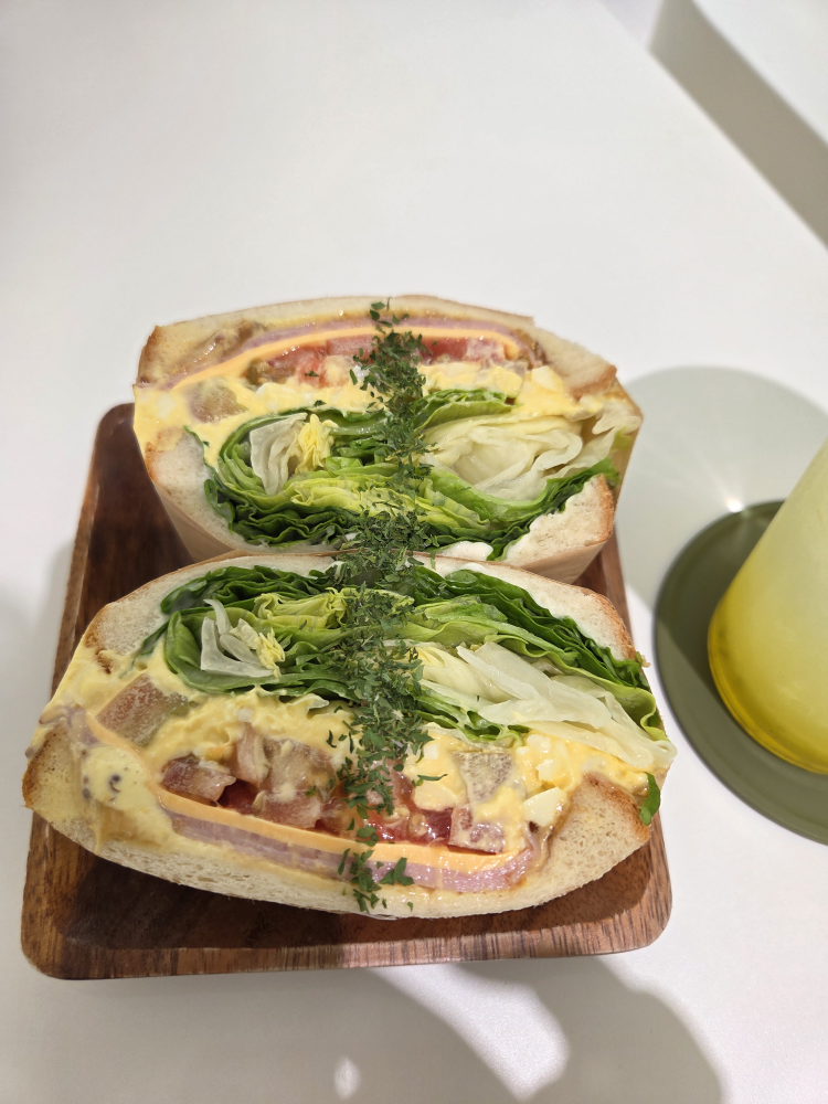 오아시스 이미지