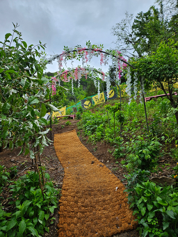 동굴카페 이미지