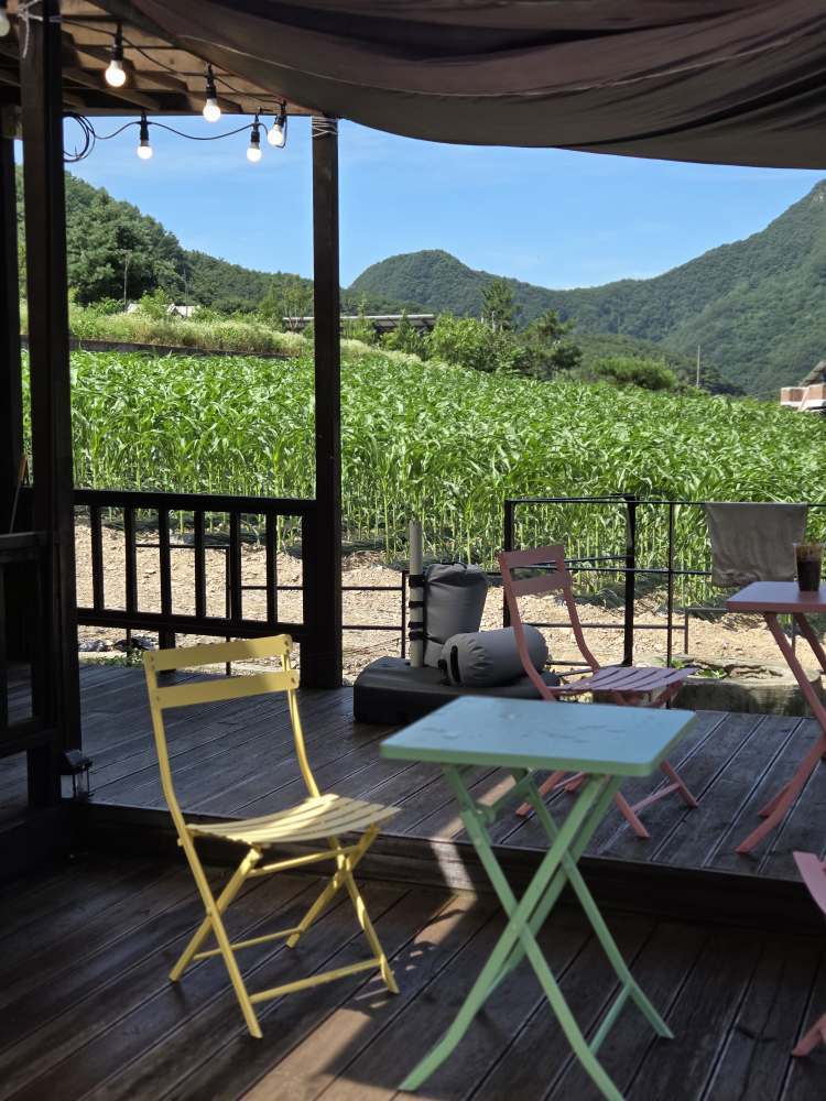 리버빈스 이미지