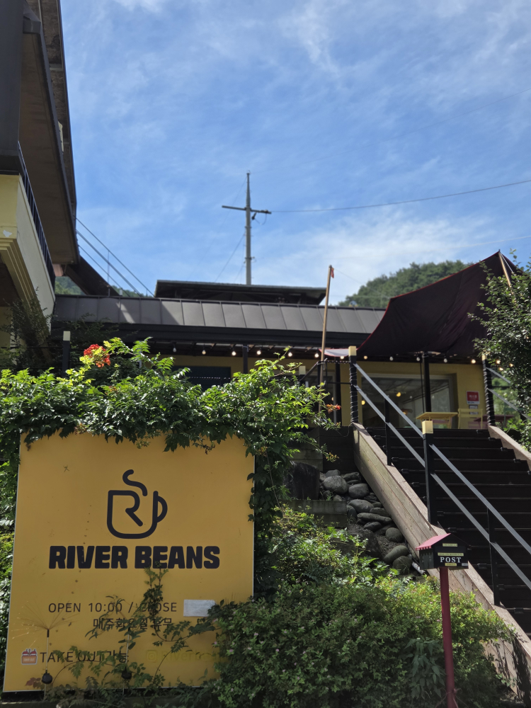 리버빈스 이미지