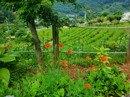 자드락펜션 이미지