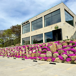 어부네산채밥상 이미지