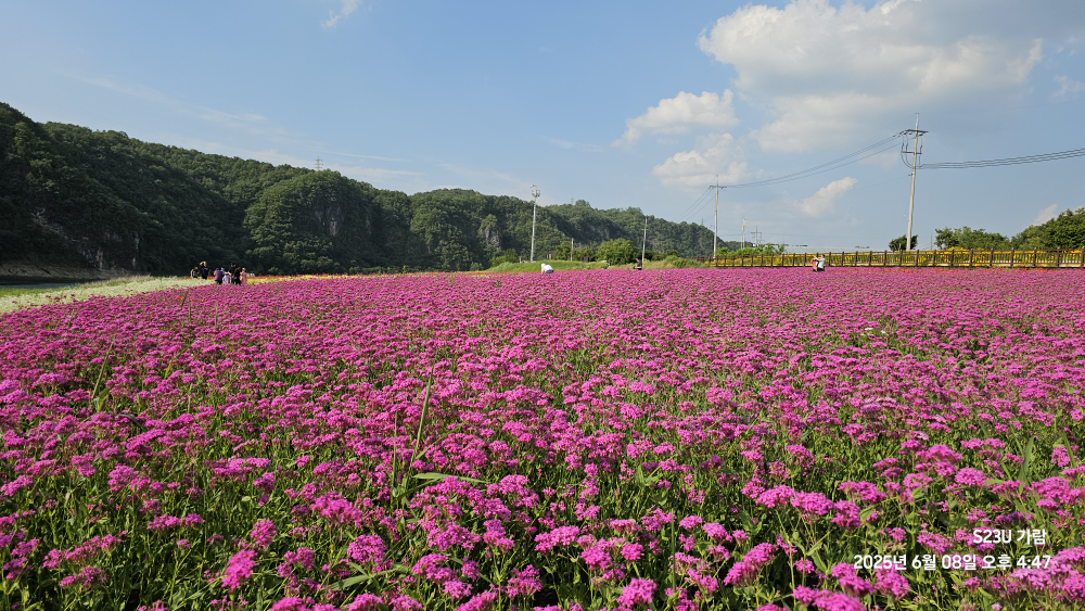 도담정원 이미지