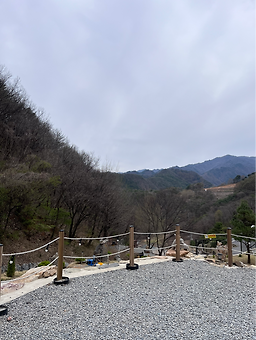 단양도담캠핑장 이미지