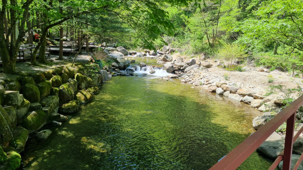 단양천동계곡캠핑장 그린농원 이미지