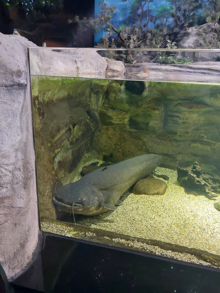 다누리아쿠아리움 이미지