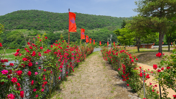 온달테마공원 이미지