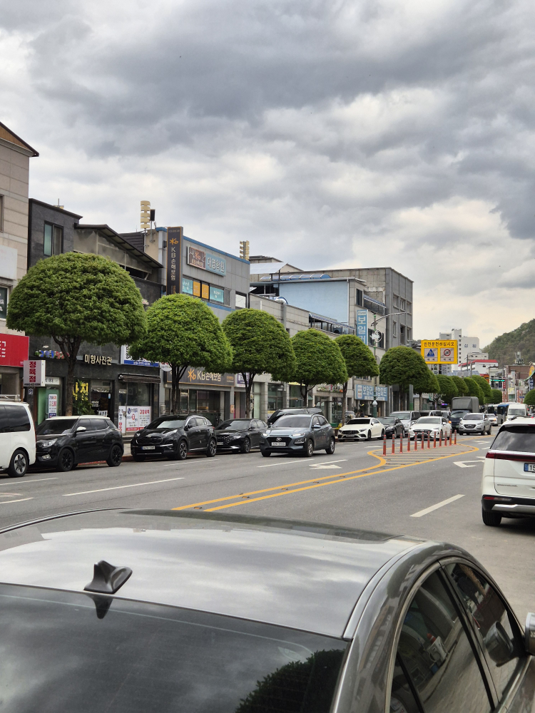 단양구경시장 이미지