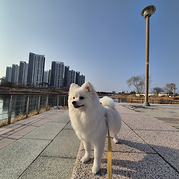 개르메스