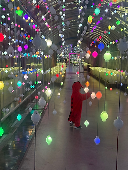 수양개빛터널 이미지