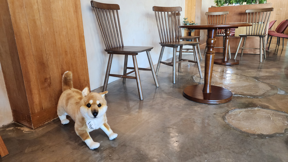 해실해실 이미지