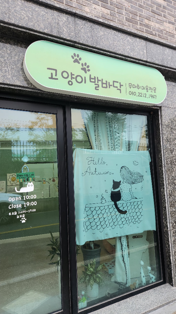 고양이 발바닥