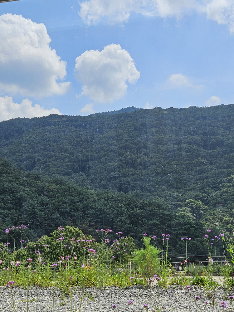어부네산채밥상 이미지