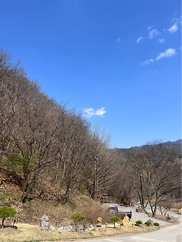 단양도담캠핑장 이미지